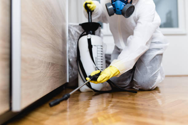 Best Wasp Removal Services  in Abita Springs, LA