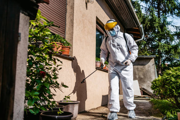 Best Termite Control Services  in Abita Springs, LA