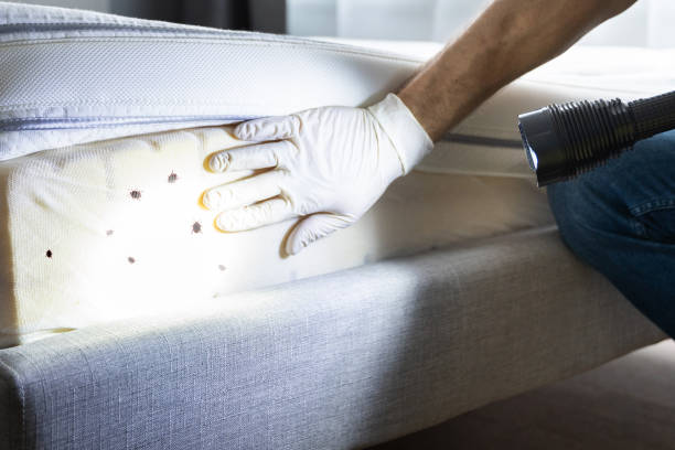 Best Pest Removal Services  in Abita Springs, LA