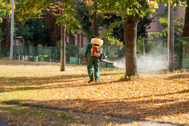 Best Termite Control Services  in Abita Springs, LA